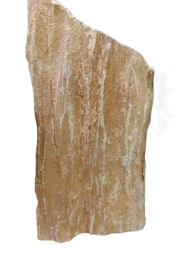 RUKDA صخور حجر رملي من خشب الساج الطبيعي من روكدا® - أحجار زخرفية لأحواض السمك والحدائق والديكور المنزلي - تنسيق أحواض السمك، وتنسيق الحدائق، وأحواض التيراريوم، وأحواض الأسماك - 1 كجم - Image 2